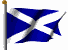 Scottish flag waving